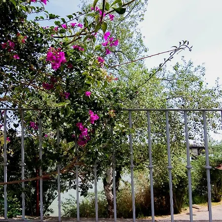 Misterhost Triana Patio De Flores Apartamento